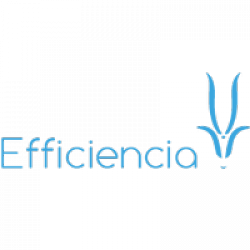 Efficiencia