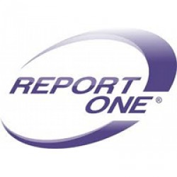 Report One