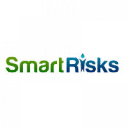Smart Risks